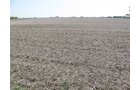 Property photo 3 - 172 Acres Offered in 3 Tracts - Prime Farmland